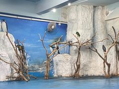 -泉州海丝野生动物世界