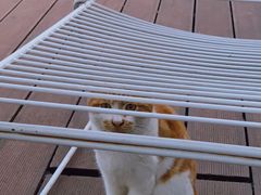 -UNIUNI(凯瑟琳广场店)