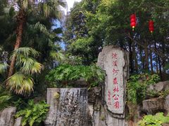 -广州市流溪河国家森林公园
