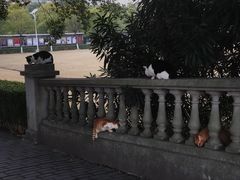-华东政法大学(松江校区)