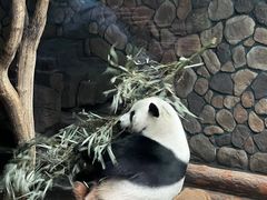 -济南野生动物世界