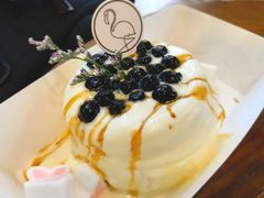 -狐狸和向日葵(北京路店)