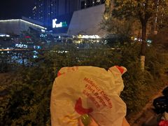 -麦当劳(塔园路店)