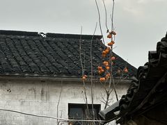 -丝绸小镇荻港古村