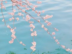 -颐和园
