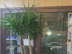 -德标艾诺口腔(敦化路店)