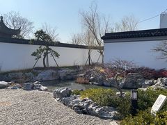-上海滨江森林公园