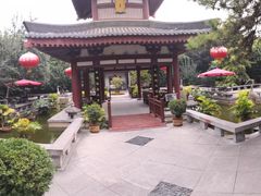 -大唐博相府酒店·陕西官府菜