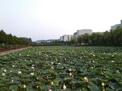 -南京信息职业技术学院