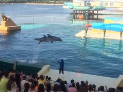 -秦皇岛乐岛海洋王国