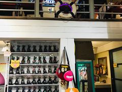 -猫咪博物馆(顶澳仔猫街店)