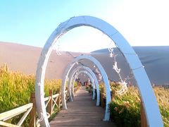 -鸣沙山月牙泉风景名胜区
