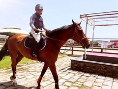 松声马术俱乐部-松声马术俱乐部