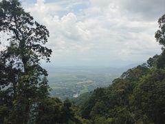 -海南热带雨林国家公园吊罗山景区