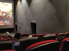 -CGV影城(黄河道ScreenX店)