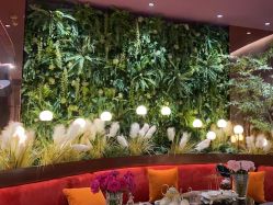 -花隐·美芙炫海菲秀皮肤管理中心