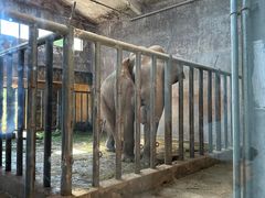 -石家庄市动物园