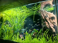 -上海海洋水族馆