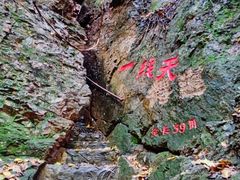 -天女山森林公园