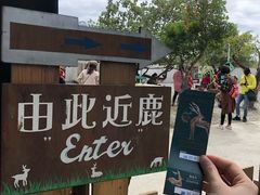 -鹿境梅花鹿生态园区