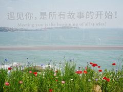 -燕儿岛山公园