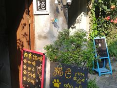 -猫色咖啡·猫咖