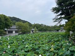 -鹤冈八幡宫