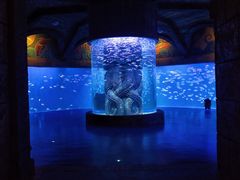 游乐设施-波塞冬旅游度假区