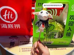 -海底捞火锅(上元大街店)