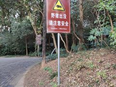 -紫金山山顶公园