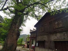 -上坦村