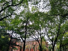 -上海师范大学西部食堂