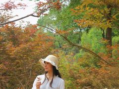 -广州市帽峰山景区