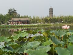 -西海子公园