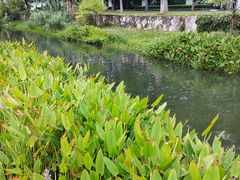 -西北湖绿化广场