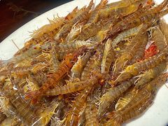 -凯华海鲜火锅·传承三十六年
