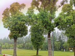 -前小桔亲子创意农场·草莓采摘·露营烧烤