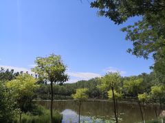 -东郊湿地公园