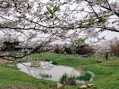 -凤凰沟景区