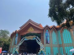 -西双版纳原始森林公园