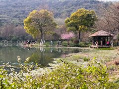 -八卦田遗址公园
