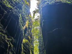 -梭布垭石林景区