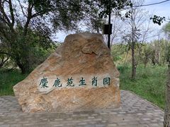 -北京麋鹿生态实验中心