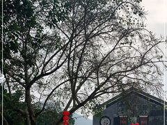 -悦城龙母祖庙