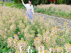 -中国天府农业博览园