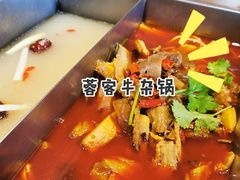 -蓉客成都火锅·招牌麻辣牛杂·特色香辣蹄花(凌水店)
