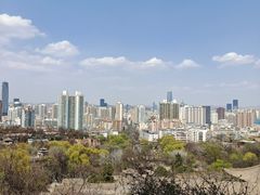 -兰山公园