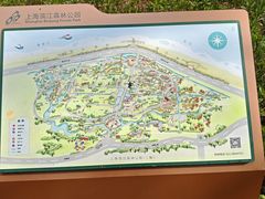 -上海滨江森林公园