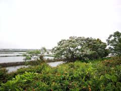 -南沙十九涌渔人码头-南门