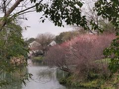 -西溪国家湿地公园